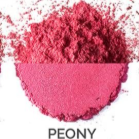 Tart Berry Spice | Tartkatt